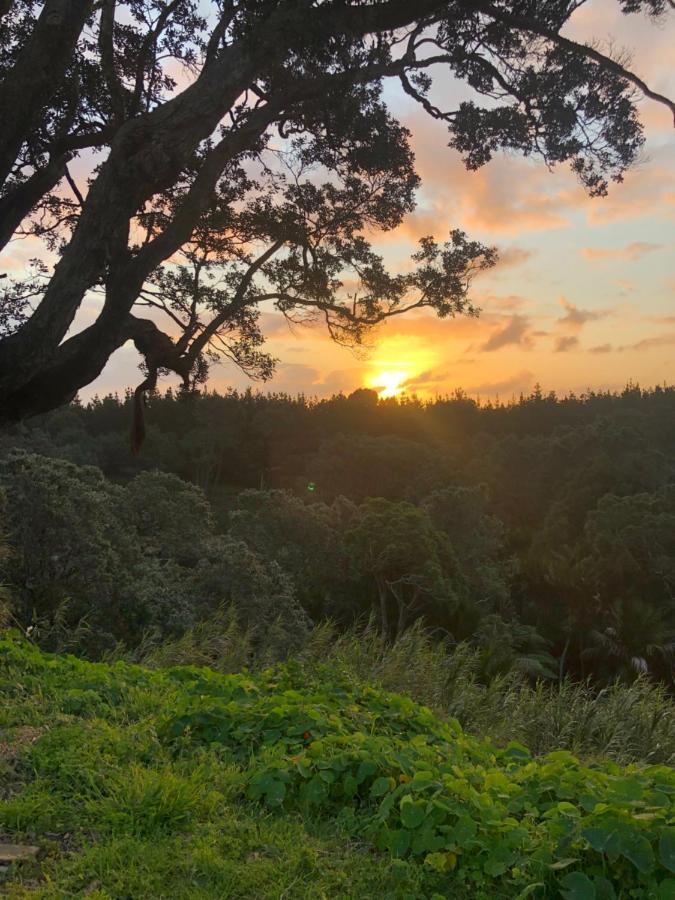 Muriwai Lodge Ngoại thất bức ảnh